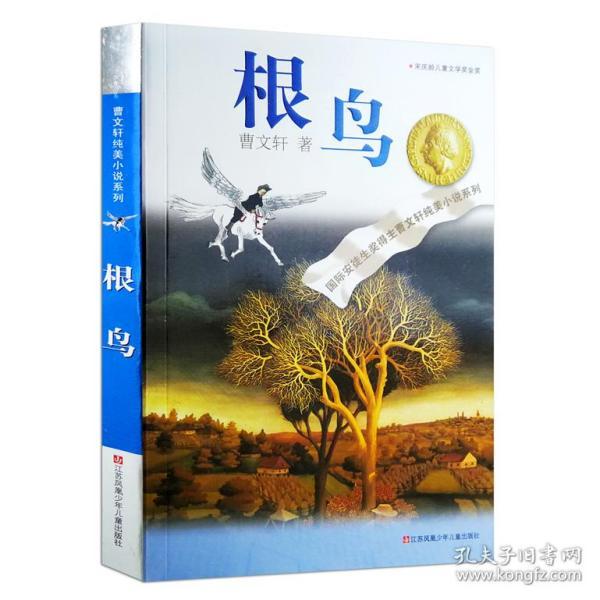 泽卡受伤后腰外援无结果,山东泰山可租借外援,伊朗后腰还能来吗